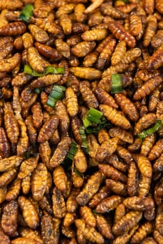 crispy Insects and worms at Thai Food Market on Wat Saket Festival Fair in Bangkok in Thailand.  Thailand, Bangkok, November, 8, 2024.