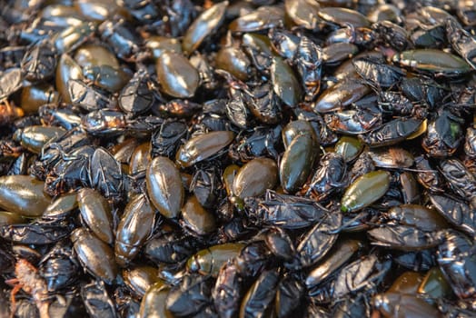 crispy Insects and worms at Thai Food Market on Wat Saket Festival Fair in Bangkok in Thailand.  Thailand, Bangkok, November, 8, 2024.