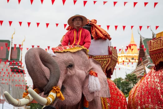 Thai Elephants at the Opening Ceremony of Wat Saket Festival Fair in Bangkok in Thailand.  Thailand, Bangkok, November, 8, 2024.