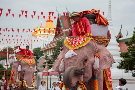 Thai Elephants at the Opening Ceremony of Wat Saket Festival Fair in Bangkok in Thailand.  Thailand, Bangkok, November, 8, 2024.