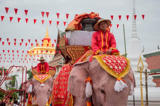 Thai Elephants at the Opening Ceremony of Wat Saket Festival Fair in Bangkok in Thailand.  Thailand, Bangkok, November, 8, 2024.