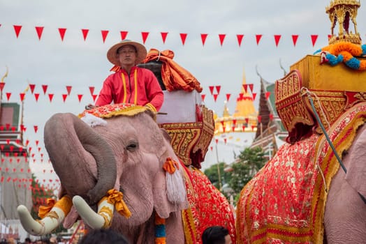 Thai Elephants at the Opening Ceremony of Wat Saket Festival Fair in Bangkok in Thailand.  Thailand, Bangkok, November, 8, 2024.