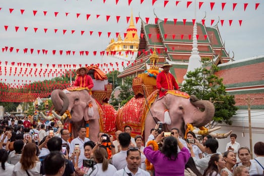 Thai Elephants at the Opening Ceremony of Wat Saket Festival Fair in Bangkok in Thailand.  Thailand, Bangkok, November, 8, 2024.