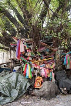 a Shrine on a Tree in a alley in Talat Noi at China Town in City of Bangkok in Thailand.  Thailand, Bangkok, November, 5, 2024.