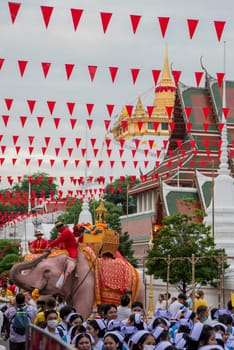 Thai Elephants at the Opening Ceremony of Wat Saket Festival Fair in Bangkok in Thailand.  Thailand, Bangkok, November, 8, 2024.