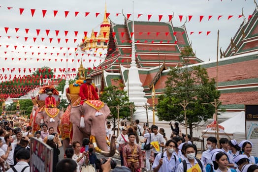 Thai Elephants at the Opening Ceremony of Wat Saket Festival Fair in Bangkok in Thailand.  Thailand, Bangkok, November, 8, 2024.