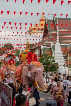 Thai Elephants at the Opening Ceremony of Wat Saket Festival Fair in Bangkok in Thailand.  Thailand, Bangkok, November, 8, 2024.