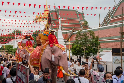 Thai Elephants at the Opening Ceremony of Wat Saket Festival Fair in Bangkok in Thailand.  Thailand, Bangkok, November, 8, 2024.