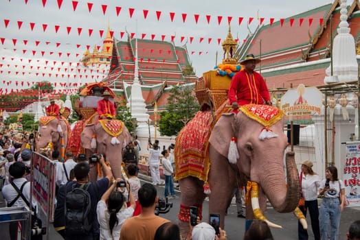 Thai Elephants at the Opening Ceremony of Wat Saket Festival Fair in Bangkok in Thailand.  Thailand, Bangkok, November, 8, 2024.