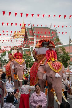 Thai Elephants at the Opening Ceremony of Wat Saket Festival Fair in Bangkok in Thailand.  Thailand, Bangkok, November, 8, 2024.
