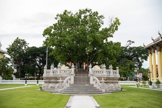 Wat Thepsirintrawat Ratchaworawihan in City of Bangkok in Thailand.  Thailand, Bangkok, November, 6, 2024.