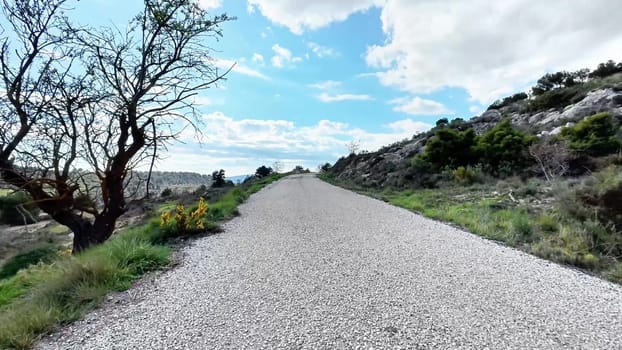 A peaceful and tranquil gravel road, surrounded by lush greenery and clear blue skies, perfect for outdoor adventures