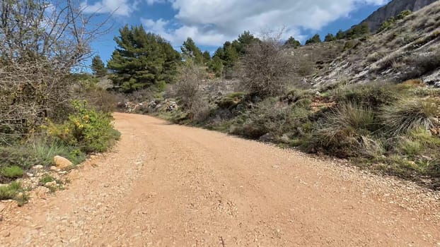 Take a moment to explore a tranquil dirt path that is flanked by lush greenery and bright, blue skies above