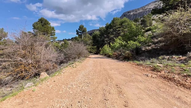 A meandering dirt road winds its way through beautiful lush foliage and towering mountains beneath a clear blue sky