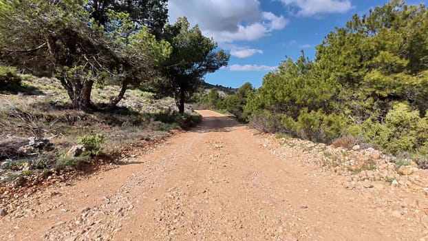A picturesque dirt path winds through vibrant trees under a clear blue sky, perfect for outdoor adventures