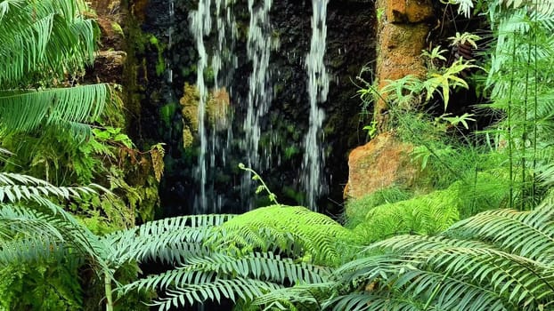 A beautiful waterfall cascades gracefully in a vibrant jungle, surrounded by exotic ferns and rich greenery
