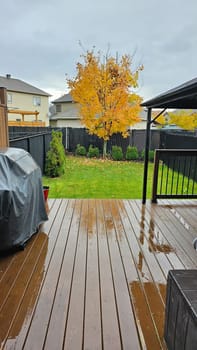 A serene autumn scene with a wet wooden deck and a bright yellow tree in a well-kept backyard. This fall image captures the tranquil beauty of outdoor living and seasonal colors.
