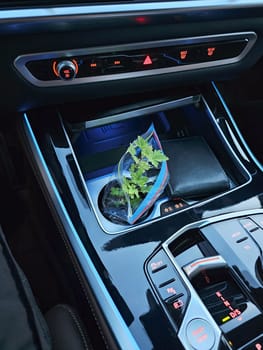 Luxurious car interior showcasing a plant in a plastic bag. This emphasizes modern design and convenience in automotive aesthetics, merging nature with contemporary style.