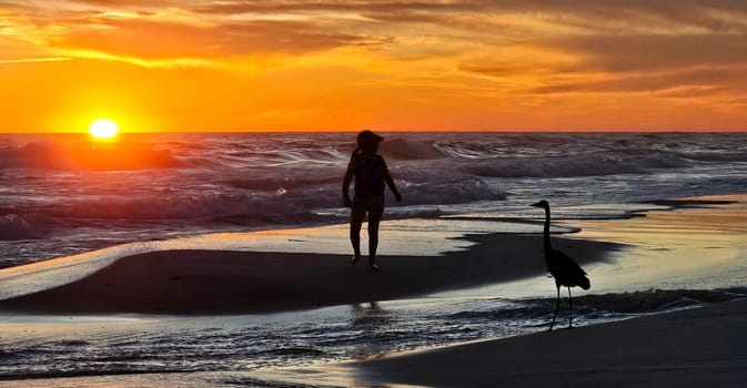 This image captures a serene coastal sunset with a woman and a heron silhouetted against the vibrant sky, showcasing the beauty of nature and peaceful beach strolls at twilight.