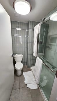 Modern bathroom featuring sleek fixtures, a glass shower, and a white toilet, perfect for real estate listings and home decor inspiration. Ideal for showcasing contemporary design.