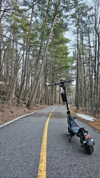 Riding an electric scooter on a paved path through a serene forest. The tall trees provide shade and a peaceful atmosphere, making it an ideal choice for eco-friendly outdoor adventures.