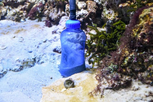 Close-up of an aquarium sand cleaner device used to remove debris from the substrate. Equipment standing upright in marine tank among algae and rocks