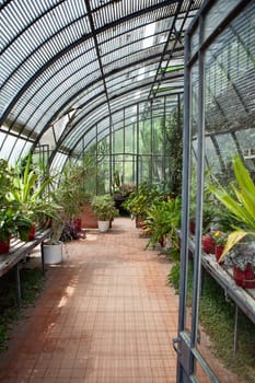 Interior on a vintage glass roof