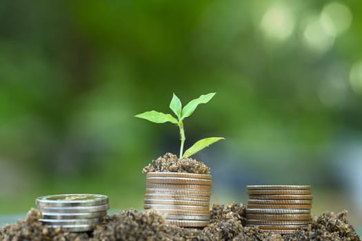 Economic growth, savings, and future financial success concept.