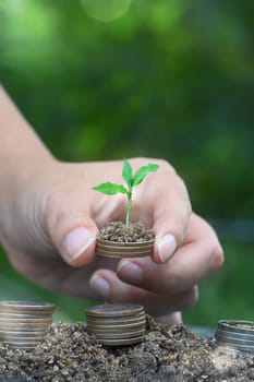 Hand holding stack of coins with soil and a small green plant, sustainable financial growth and investment.