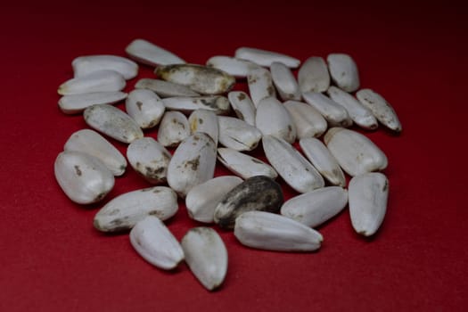 A pile of sunflower seeds as bird feed