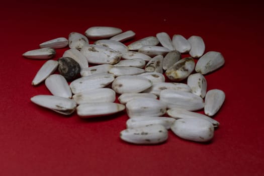 A pile of sunflower seeds as bird feed