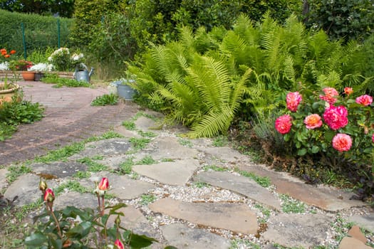 rustic garden -  fern and plants in tin tub