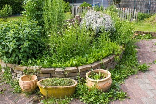 herb spiral in the garden with fresh herbs and flowers