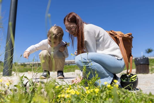 Curious child and his mother exploring nature, crouching down to observe plants and flowers during a sunny day in a city park