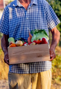 Man farmer holding a wooden box full of fresh vegetables.