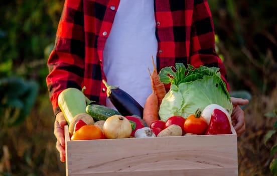 Boy holding a wooden box full of vegetables. Harvesting