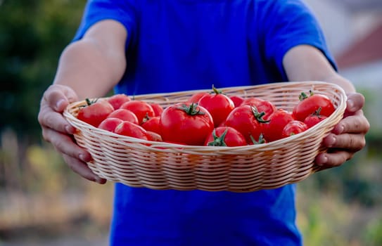 Boy holding a bowl of tomatoes in the garden