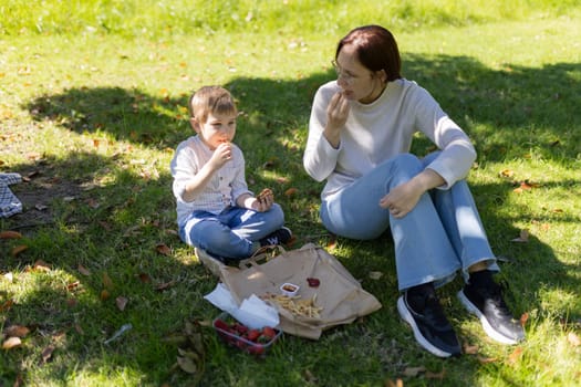 Mother and son are sitting on the grass in a park, sharing a picnic of french fries, strawberries, and ketchup