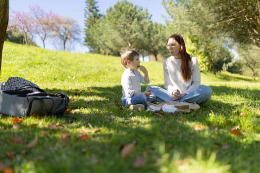Mother and son sharing snacks during a relaxing picnic in a vibrant green park