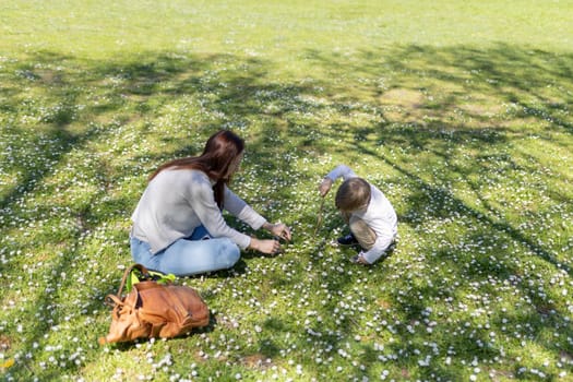 Mother and son enjoying quality time together picking daisies in a sunny field, creating cherished memories amidst nature's beauty