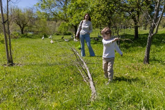Young boy playing with stick in park while his mother watches geese in background