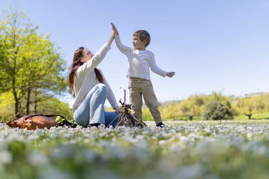 Mother and son are giving high five near campfire, celebrating their outdoor adventure in a field of flowers