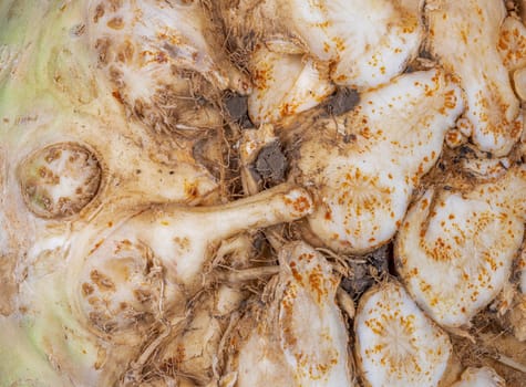 Abstract macro background of a celery root