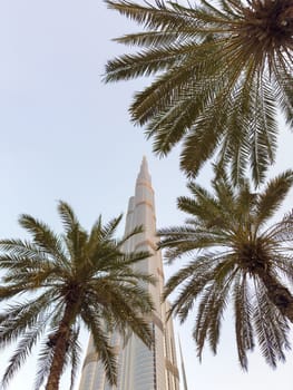UAE, Dubai, 26 September 2024: The famous shopping center Dubai Mall and Burj Khalifa skyscraper at dusk, Dubai's sights and skyscrapers illuminated at night, palm trees. High quality photo