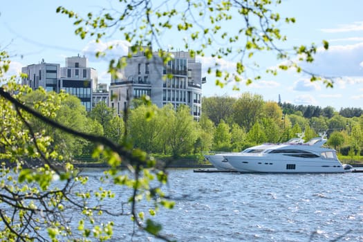 View of the mega yachts standing at the pier through the branches of trees on a clear sunny day, residential buildings and a stadium in the background, Russia, St.Petersburg. High quality photo