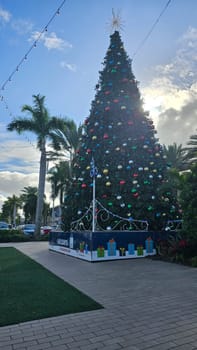Miami, FL USA - 12.26.2023: Festive Christmas Tree Radiating Holiday Cheer in a Tropical Urban Setting. Winter Scene.