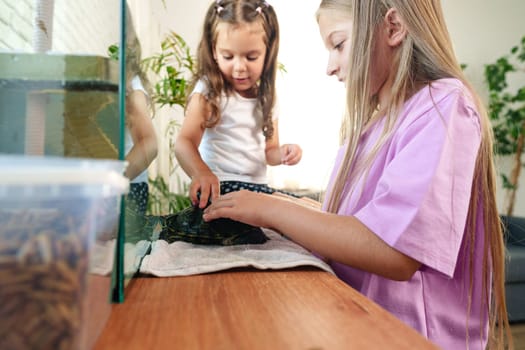 Two girls explore and interact with a turtle in a bright indoor space filled with greenery. They are engaged in learning about reptiles and sharing a hands-on experience.