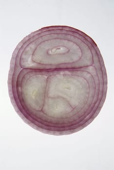 Cross section slice of red onion against light background on backligts