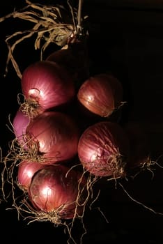 Bunche of onions and garlic hanging from the ceiling in a barn with dark background.