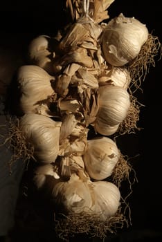 Garlic braid handing from the ceiling, with black background and back-light